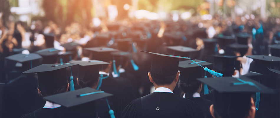 Sustainability and Green Economy Careers for BBA Graduates