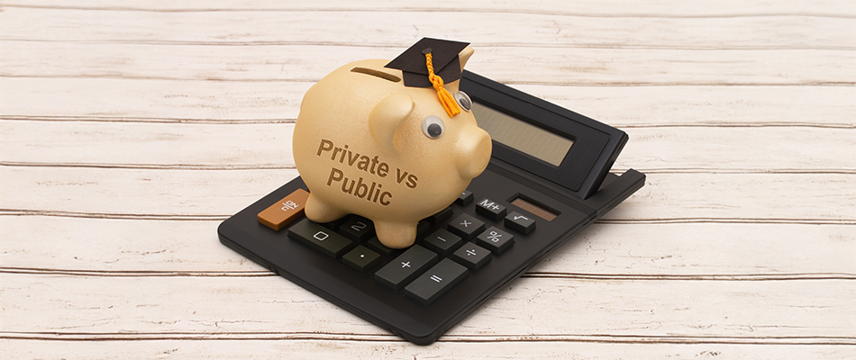 Comparing Private vs Public Universities in South Africa