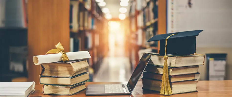 Education Level Explained - Meaning, Types & Examples