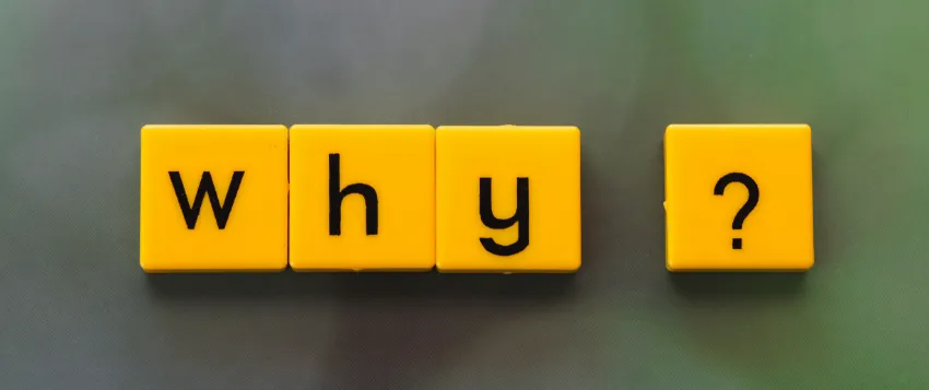 Why AI Forces a New View of Professional Expertise 