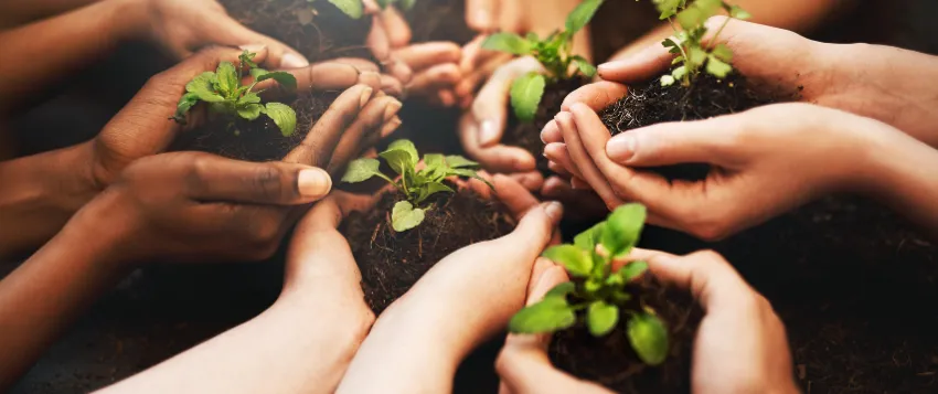 Youth Unemployment Should Be a Shared Responsibility